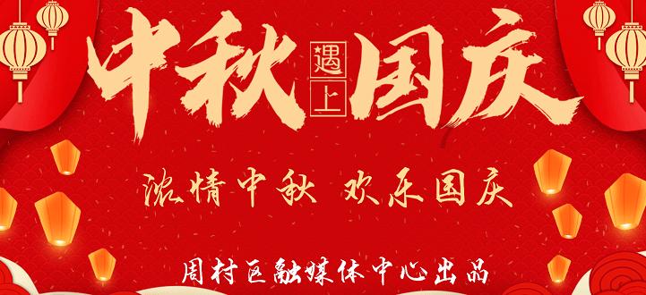 高水平开放的生动注脚